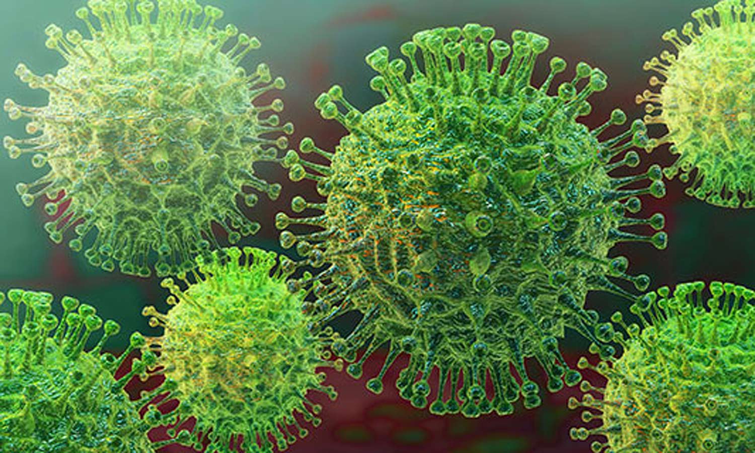 தினசரி பாதிப்பு சற்று குறைந்தது- புதிதாக 281 பேருக்கு கொரோனா