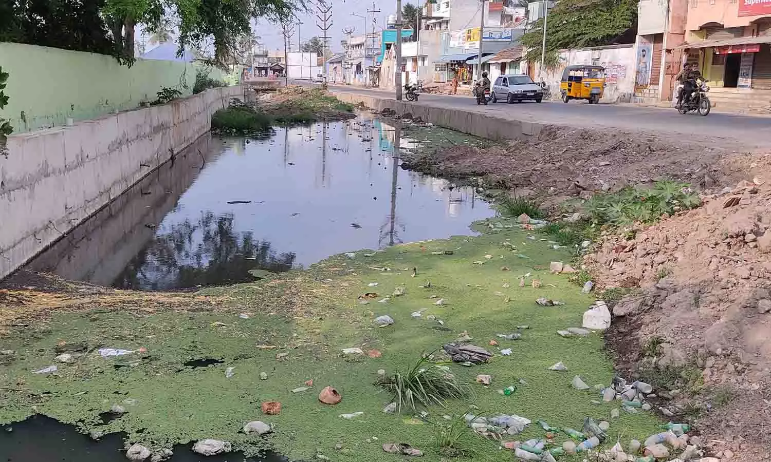 தங்கம்மாள் ஓடையில் தேங்கும் கழிவுநீரால் சுகாதார சீர்கேடு