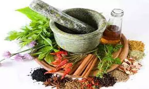 பெண்களுக்கு சிறப்பு சித்த மருத்து முகாம்