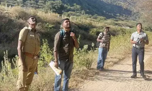 உடுமலை பகுதியில் கணக்கெடுக்கும் பணி - 31 வகையான நிலவாழ் பறவைகள் கண்டுபிடிப்பு