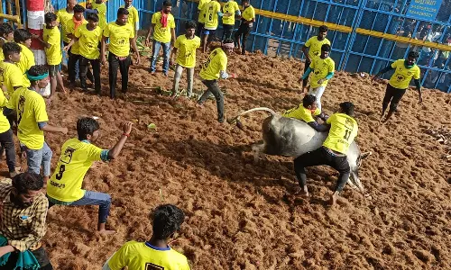 மங்களாபுரத்தில் ஜல்லிக்கட்டு