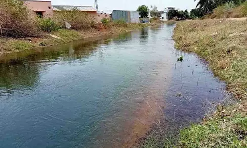 780 இடங்களில் கிணறுகள் தோண்டி பி.ஏ.பி., கால்வாய்களில் பாசன நீர் திருட்டு - அறிக்கையில் அதிர்ச்சி தகவல்