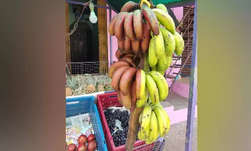 அருமனையில் ஒரே தாரில் 2 நிறங்களில் வாழைப்பழங்கள்- பொதுமக்கள் வியப்புடன் பார்த்தனர்