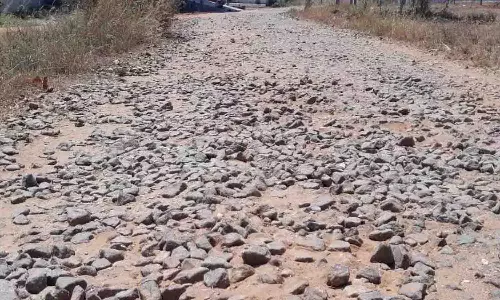 ஜல்லிக்கற்கள் பெயர்ந்துக் கிடக்கும் சாலையை சீரமைக்க கோரிக்கை