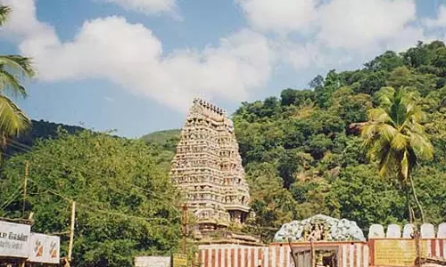 கள்ளழகர் கோவில் மாசி தெப்ப உற்சவம்