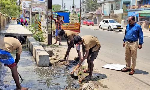 நெல்லையப்பர் கோவில்  ரத வீதிகளில் தூய்மை பணி