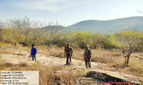 வேலூர் ஒருங்கிணைந்த மாவட்டத்தில் பறவைகள் கணக்கெடுப்பு பணி தீவிரம்