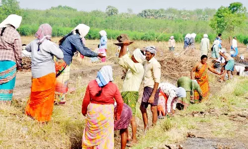 திருவாரூரில், நாளை நடைபெறும் போராட்டத்தில் அனைவரும் கலந்து கொள்ள வேண்டும்