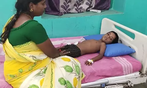 4 வயது குழந்தையை வெறிநாய் கடித்து குதறியது