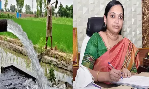 ஆதிதிராவிடர், பழங்குடியினத்தை சேர்ந்த விவசாயிகளிடம் இருந்து துரித மின் இணைப்பு வழங்க விண்ணப்பங்கள் வரவேற்பு - கலெக்டர் தகவல்