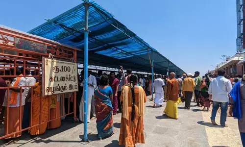 கோடை வெயிலின் தாக்கம் அதிகரிப்பு- பழனி மலைக்கோவிலில் பக்தர்களுக்காக தற்காலிக நிழற்பந்தல்