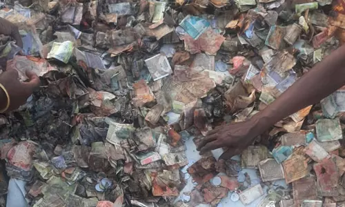 காஞ்சிபுரம் ஏகாம்பரநாதர் கோவிலில் உண்டியலில் தேங்கிய மழைநீரால் ரூபாய் நோட்டுகள் சேதம்