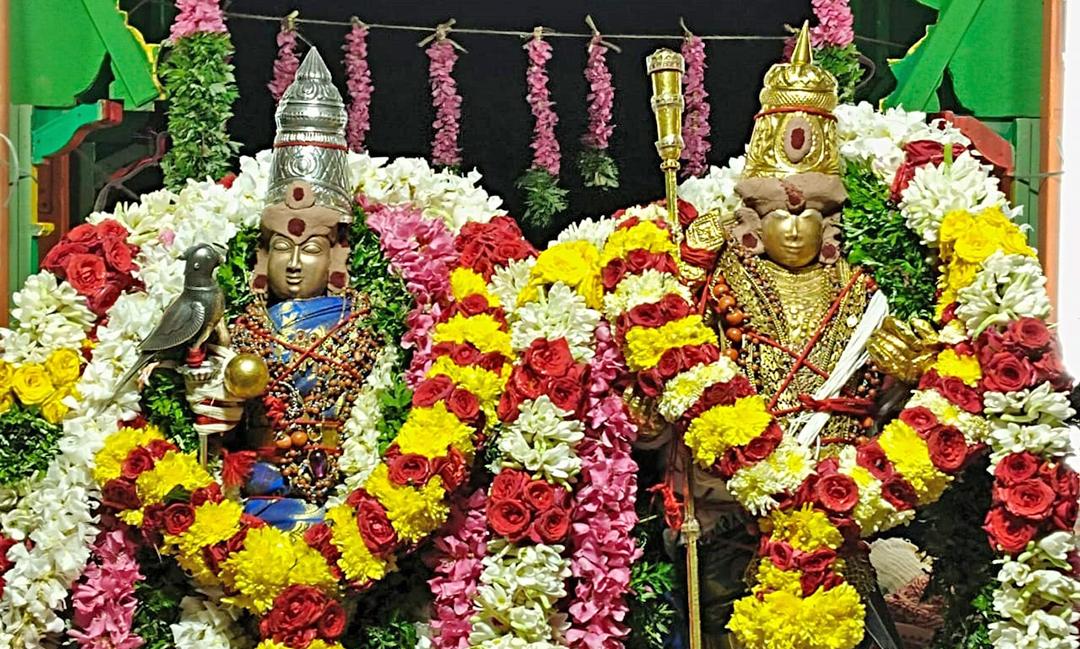 திருச்செந்தூர் சுப்பிரமணியசுவாமி கோவில் தெப்ப உற்சவம்- திரளான பக்தர்கள் கலந்து கொண்டு தரிசனம்