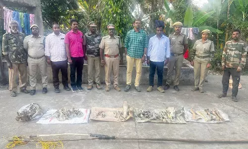 கொடைக்கானலில் வன விலங்குகளை வேட்டையாடி உடல்  பாகங்கள் புதைப்பு தி.மு.க. நிர்வாகி உள்பட 3 பேருக்கு வலை