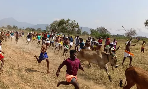 ஆண்டிபட்டி அருகே கோவில் திருவிழாவில் தம்பிரான் ஓட்டம்