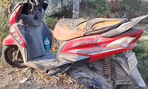 பைக்கில்  கூடு கட்டி குஞ்சு பொரித்த ஊர் குருவி