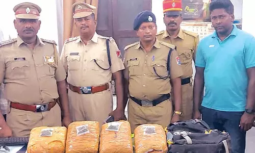 ஒடிசாவில் இருந்து புதுவைக்கு ரெயிலில் கடத்தி வந்த 8½ கிலோ கஞ்சா பறிமுதல்