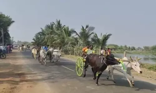 மாட்டுவண்டி எல்கை பந்தயம்