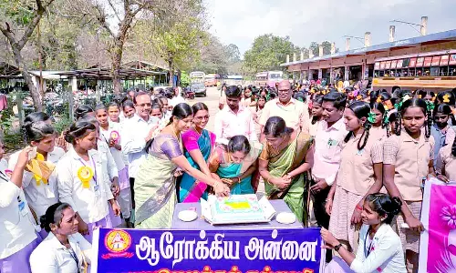சீர்காழியில் மகளிர் தின விழிப்புணர்வு பேரணி