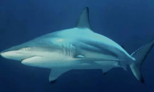 வாழ்வுக்கு உயிர்ப்பூட்டும் பிரச்சினை...