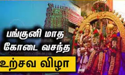 மீனாட்சி அம்மன் கோவிலில் கோடை வசந்த உற்சவம்