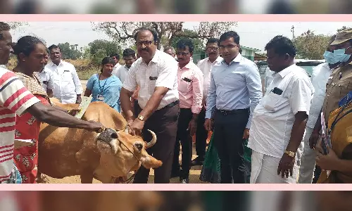 கயத்தாறு அருகே கால்நடை தடுப்பூசி முகாம்