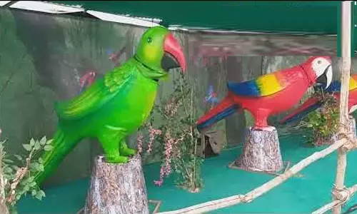 எந்திர பறவைகளின் சரணாலய பொருட்காட்சி