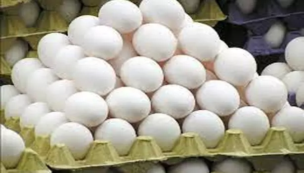 முட்டை கொள்முதல் விலையை அரசே நிர்ணயிக்க கோரிக்கை