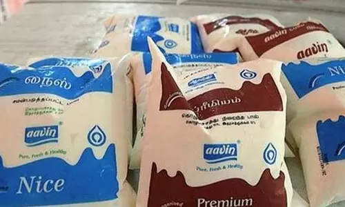 நெல்லை ஆவினில் பால் பாக்கெட்டுகள் திருட்டில் ஊழியர்களுக்கு தொடர்பு?- கைதான 4 பேரிடம் போலீசார் விசாரணை