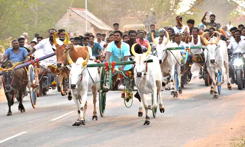 இரட்டை மாட்டு வண்டி பந்தயம்