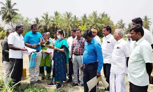 புறவழிச்சாலை அமைய உள்ள இடத்தில் மாவட்ட வருவாய் அலுவலர் ஆய்வு