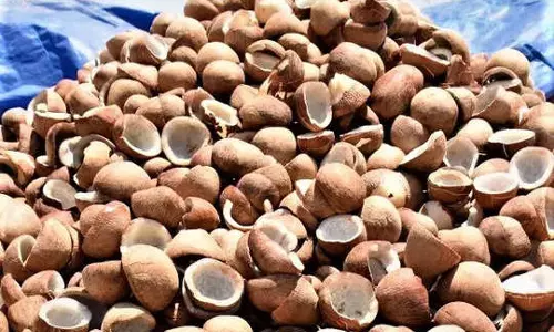 அடுத்த மாதம் முதல் கொப்பரை கொள்முதல்