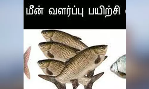 நாமக்கல்லில் இலவச மீன் வளர்ப்பு பயிற்சி