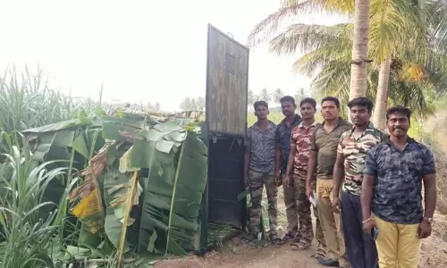 சென்னம்பட்டி-மல்குத்தி கிராமங்களில் வனத்துறையினர் கூண்டு வைத்து கண்காணிப்பு