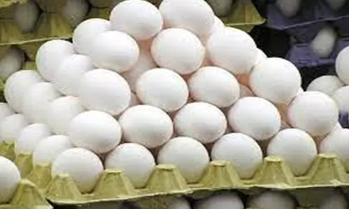 முட்டை கொள்முதல் விலையை அரசே நிர்ணயிக்க கோரிக்கை