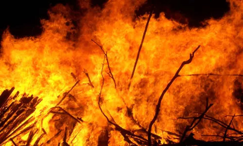 வேலகவுண்டன்பட்டி அருகேவைக்கோல் போர்  தீயில் எரிந்து நாசம்