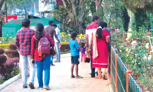 கோடை வெயிலை முன்னிட்டு ஏற்காட்டில் குவிந்த சுற்றுலா பயணிகள்