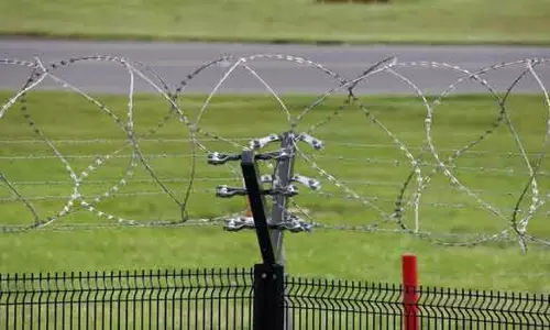 மின்வேலியில் சிக்கி 2 ஜல்லிக்கட்டு காளைகள் சாவு