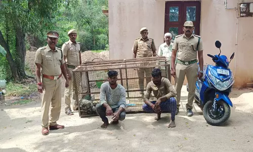 கோட்டக்குப்பம் அருகே அரிய வகை ஆமைகளை கடத்திய கடலூர் வாலிபர்கள் கைது