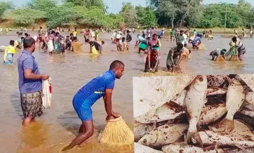 பாரம்பரிய மீன்பிடி திருவிழா