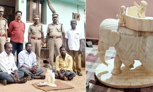 யானை தந்த பொம்மை கேரளாவில் இருந்து கடத்தி வந்த 2 பேருக்கு வனத்துறை வலைவீச்சு