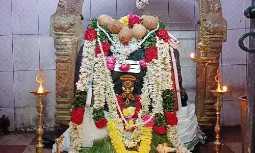 ஸ்ரீ கருமான் பிள்ளையார் கோவிலில் சங்கடஹர சதுர்த்தி விழா