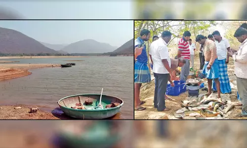 புழுதிக்குட்டை ஆனைமடுவு அணையில் மீன்  பிடிப்பு அதிகரிப்பு