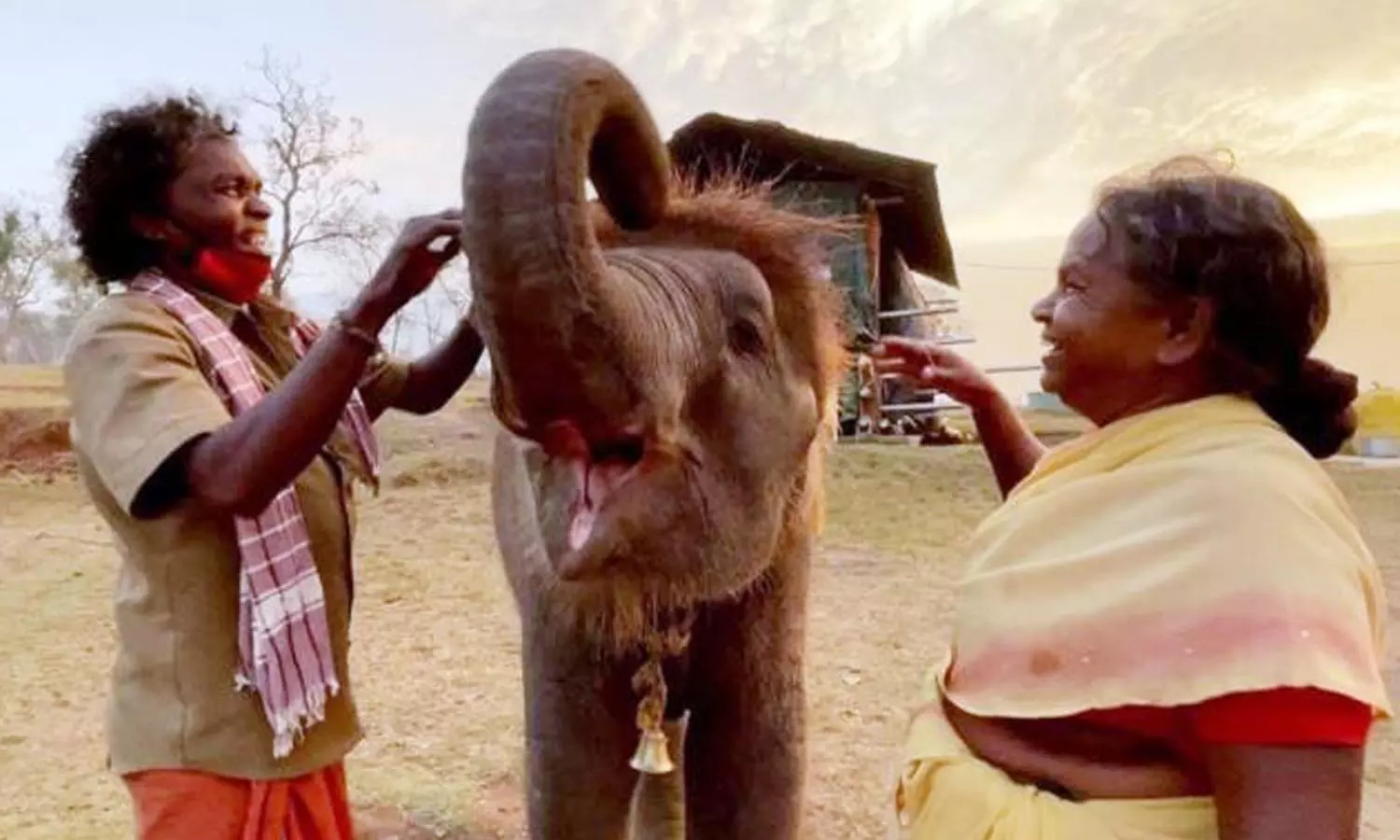 குழந்தைகளை போல் யானைகளை பராமரித்து வருகிறோம்.. நீலகிரி பாகன் தம்பதி குழந்தைகளை போல் யானைகளை பராமரித்து வருகிறோம்.. நீலகிரி பாகன் தம்பதி