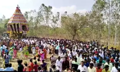 வாராப்பூர் மாசி மக வைர தேரோட்டம்