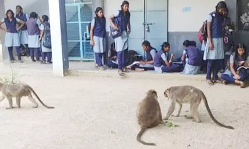 திருவள்ளூரில் தேர்வு மையத்துக்குள் புகுந்த குரங்குகளால் மாணவிகள் அலறியடித்து ஓட்டம்