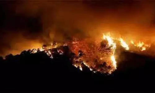 பெரியகுளம் அருகே வெள்ளகவி வனப்பகுதியில் காட்டுத்தீ