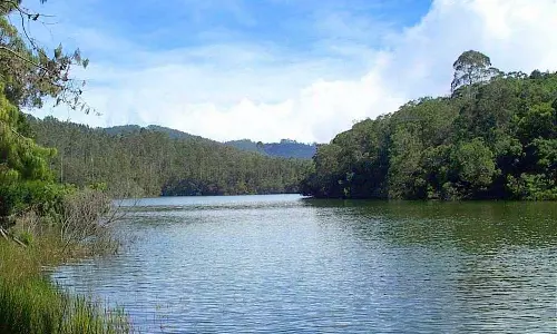 சோத்துப்பாறை அணை வறண்டது பேரிஜம் ஏரியில் இருந்து பெரியகுளத்திற்கு குடிநீர் வழங்க நடவடிக்கை