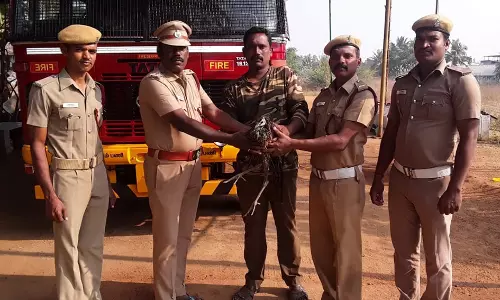 கிணற்றுக்குள் விழுந்த மயில் உயிருடன் மீட்பு