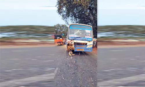 அரசு பஸ் மோதி 2 வாலிபர்கள் பலி